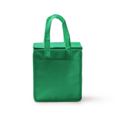 Geantă frigorifică Alapa pentru călătorii - VERDE TEI