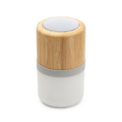 Boxe bluetooth Ozcan portabile