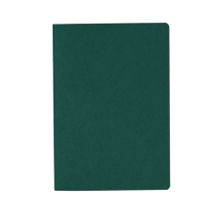 Blocnotes Danica A6 pentru notițe zilnice - VERDE