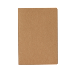 Blocnotes Danica A6 pentru notițe zilnice - NATURAL