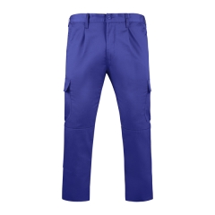 Pantaloni Daily bărbați - BLEUMARIN
